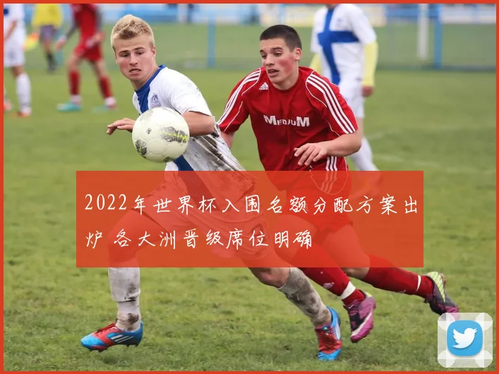 2022年世界杯入围名额分配方案出炉 各大洲晋级席位明确
